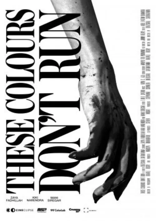 These Colours Don't Run movie poster
