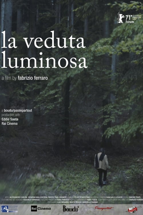 The Luminous View movie poster