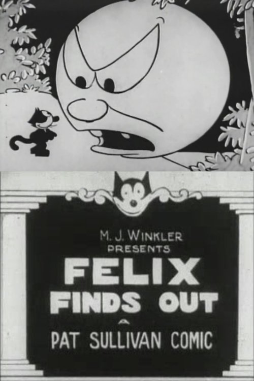 Felix Finds Out movie poster