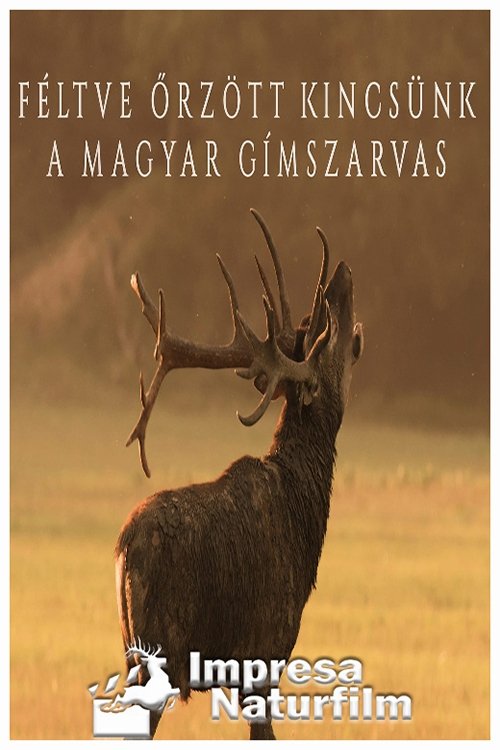 Féltve őrzött kincsünk, a magyar gímszarvas movie poster