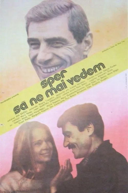 I Hope to See You Again movie poster