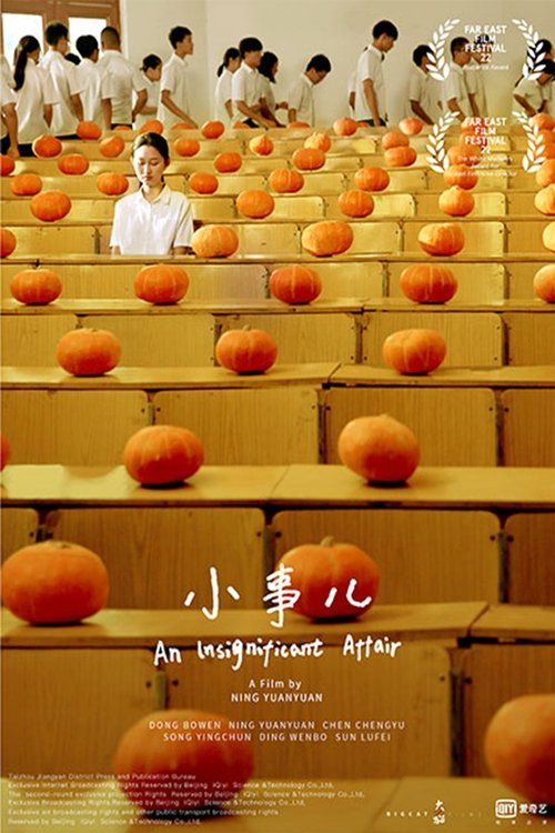 An Insignificant Affair movie poster