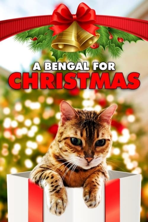 A Bengal for Christmas movie poster