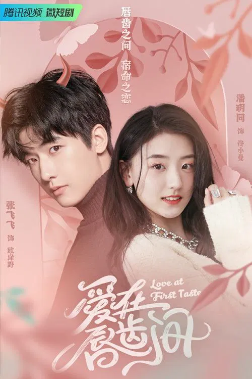 Love at First Taste tv show poster