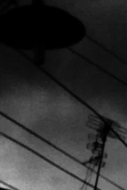 berdiri movie poster