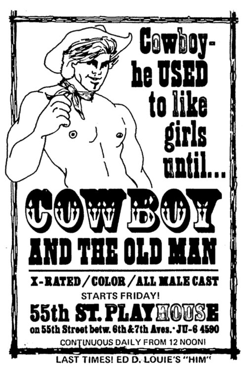 Hollywood Cowboy movie poster
