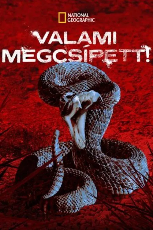 I Was Bitten tv show poster