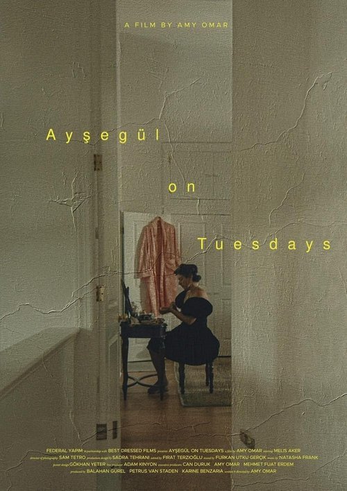 Poster do filme Ayşegül on Tuesdays