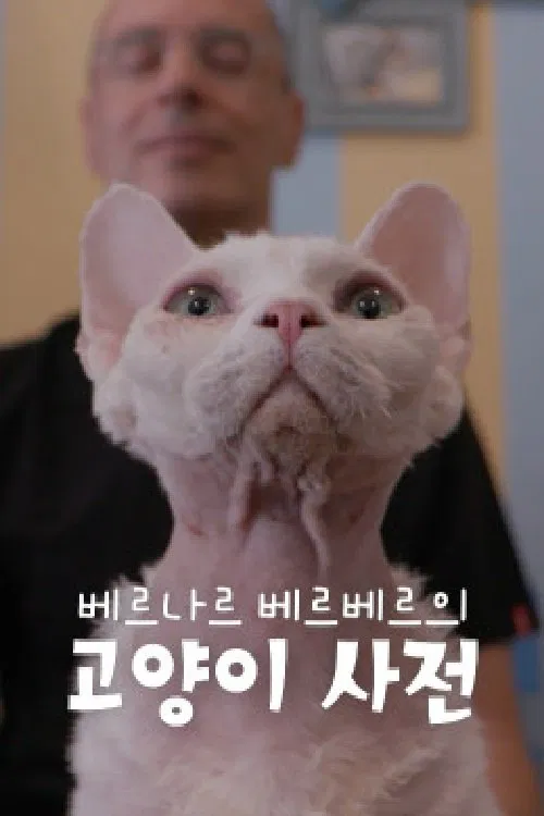 베르나르 베르베르의 고양이 사전 tv show poster