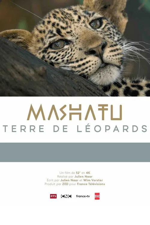Mashatu, terre de léopards movie poster