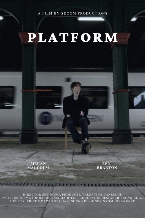 Poster do filme Platform