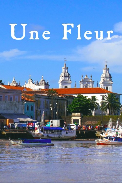 Une fleur dans le Pacifique tv show poster