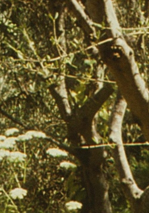 Envío 6 movie poster