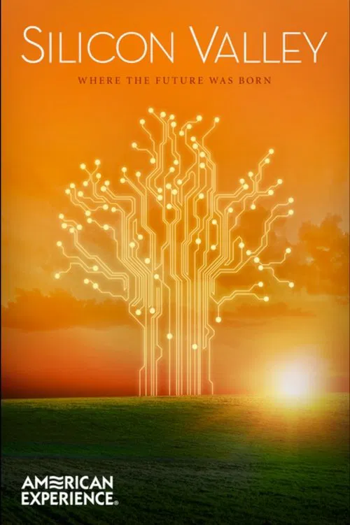 Poster do filme Silicon Valley