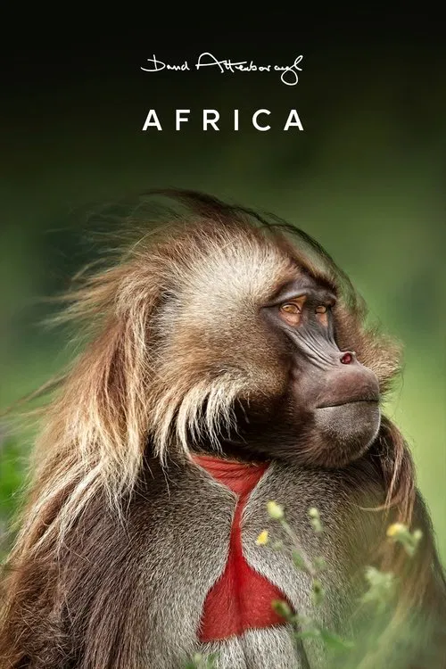 Africa tv show poster