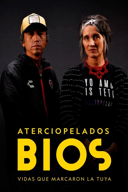 Bios, vidas que marcaron la tuya: Aterciopelados movie poster