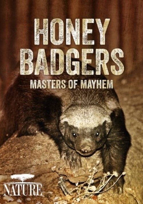 Honey Badgers: Masters of Mayhem movie poster