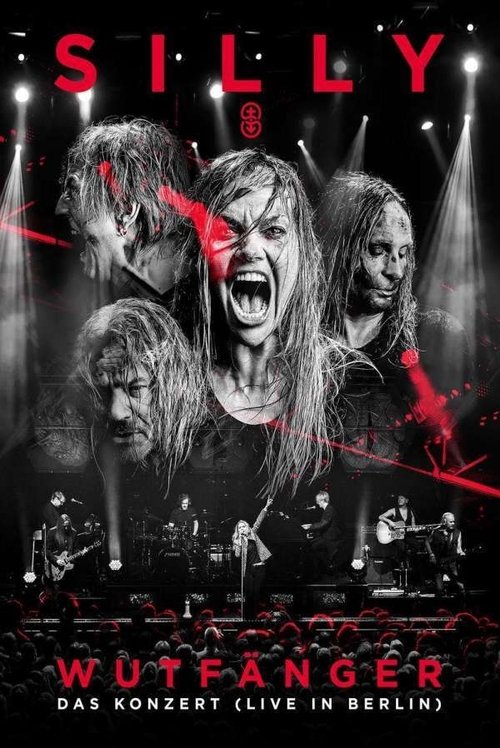 Poster do filme Silly - Wutfänger