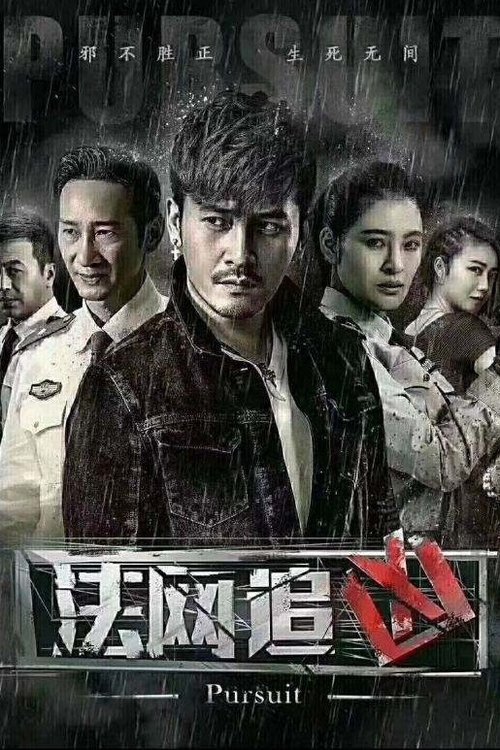 法网追凶 tv show poster