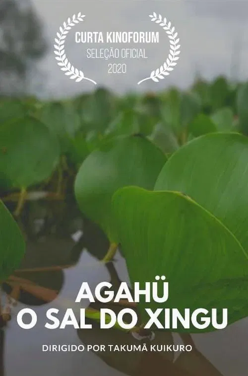 Agahü: O Sal do Xingu movie poster