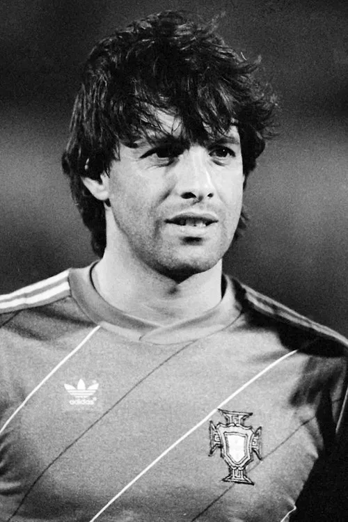 Lima Pereira profile picture