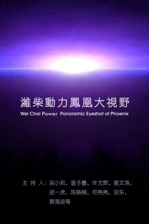 凤凰大视野 tv show poster