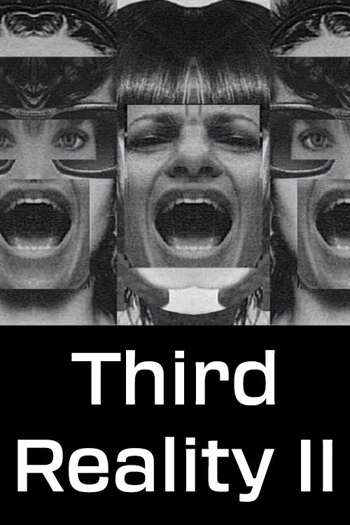 Poster do filme Third Reality 2