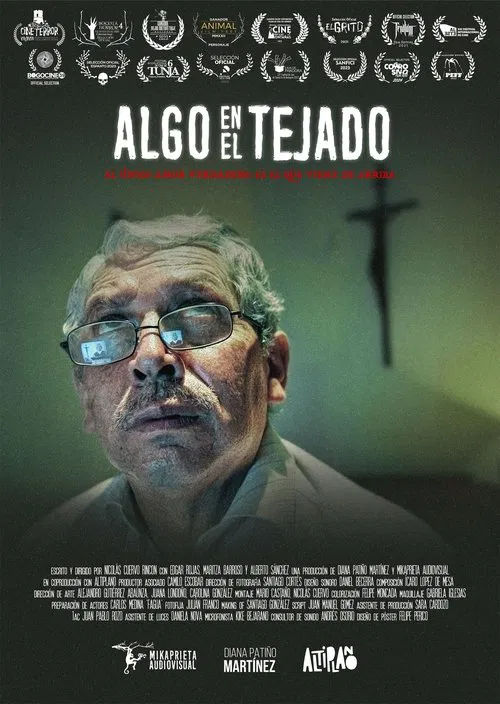 Something on the roof movie poster