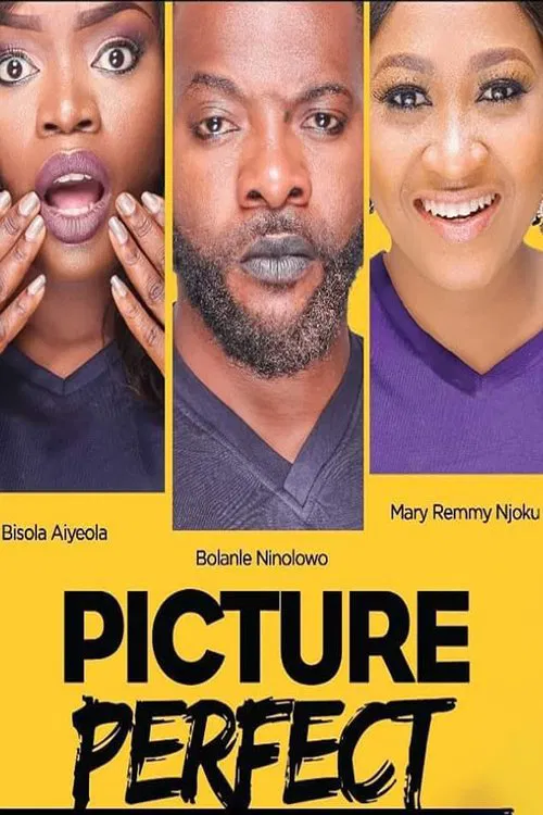 Poster do filme Picture Perfect