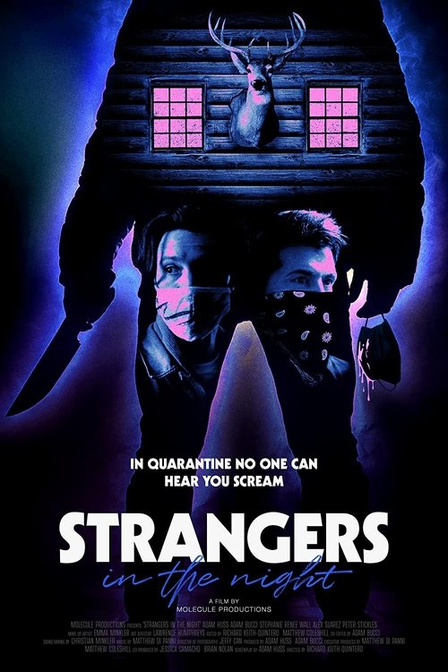 Strangers in the Night movie poster