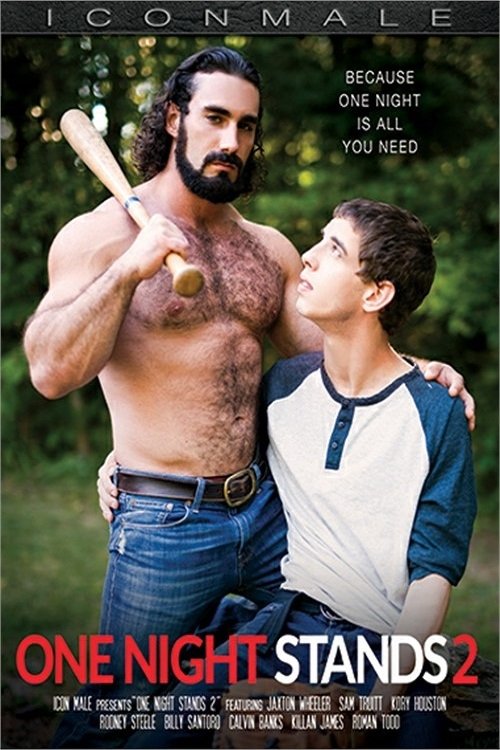 One Night Stands 2 movie poster