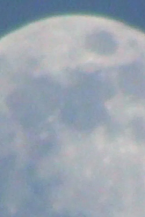 Poster do filme Moonwalk