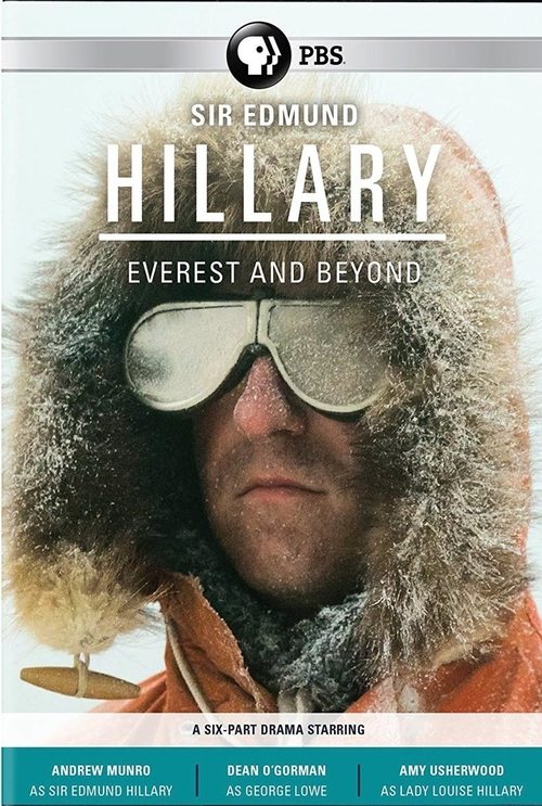 Hillary tv show poster