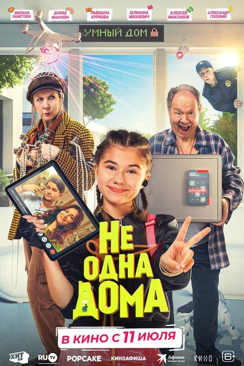 Not Home Alone movie poster