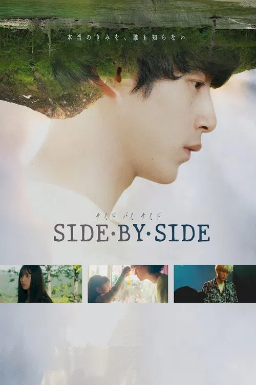 Poster do filme Side By Side