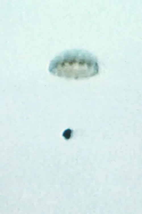 Kobarweng or Where Is Your Helicopter movie poster