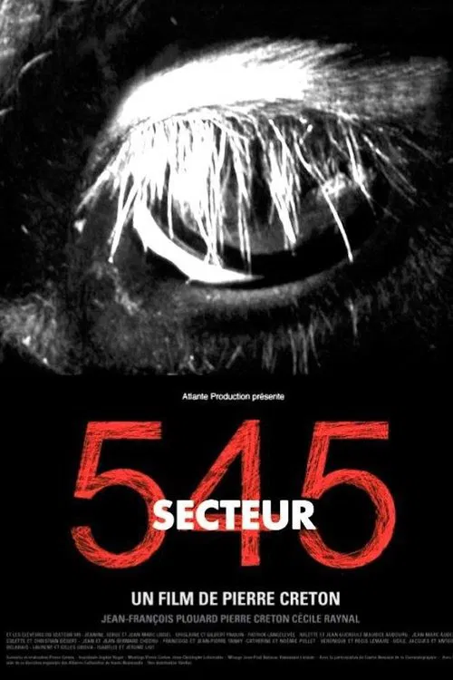 Poster do filme Secteur 545