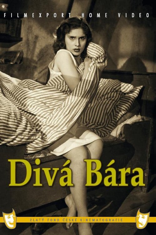 Divá Bára movie poster
