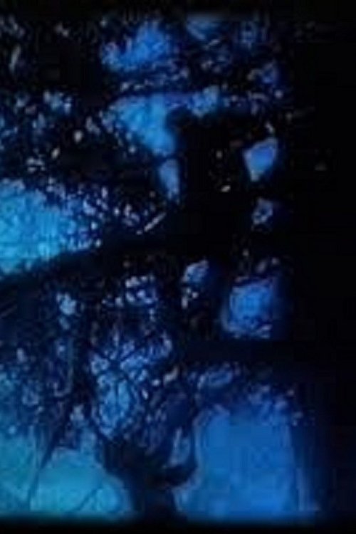 The Blue Walk movie poster