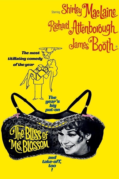 The Bliss of Mrs. Blossom movie poster