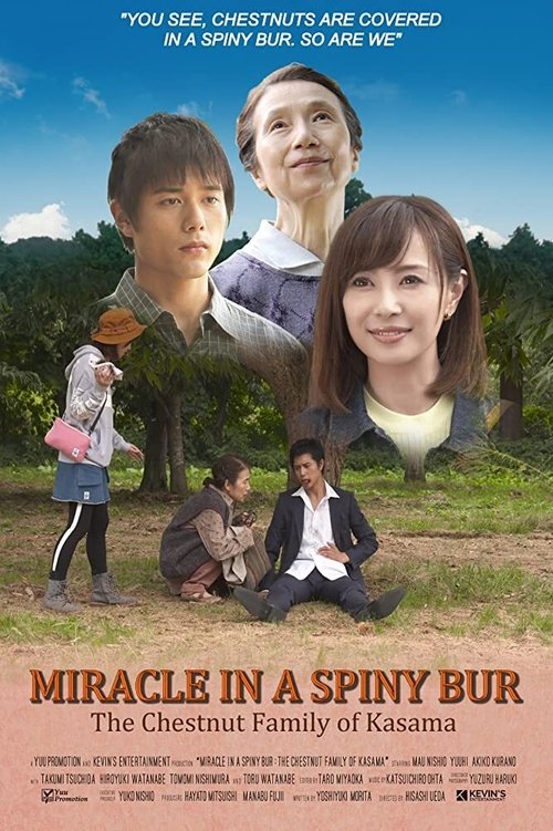Miracle in Kasama movie poster