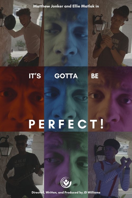 It's Gotta Be Perfect! movie poster