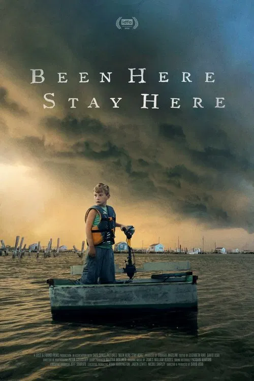 Been Here Stay Here movie poster