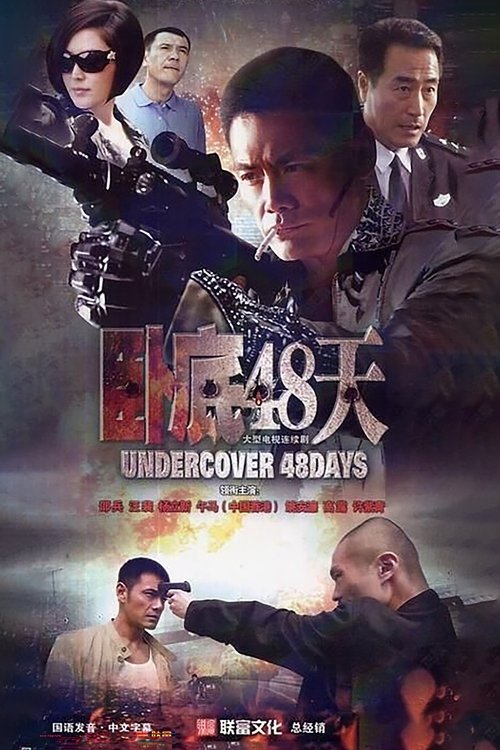 Poster da série 卧底48天