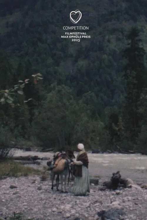 Gold Rush movie poster