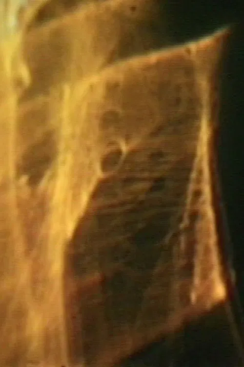 Let There Be Light movie poster