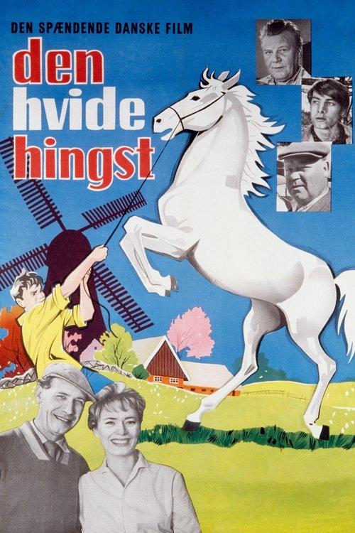 The Boy Who Loved Horses movie poster