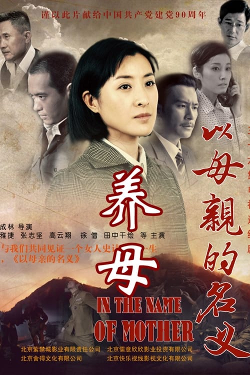 养母 tv show poster