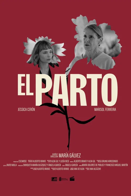 El Parto movie poster