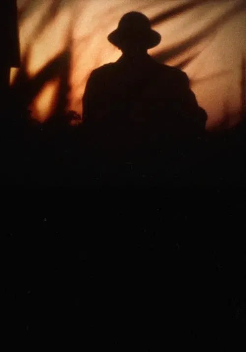 Poster do filme An incident of night